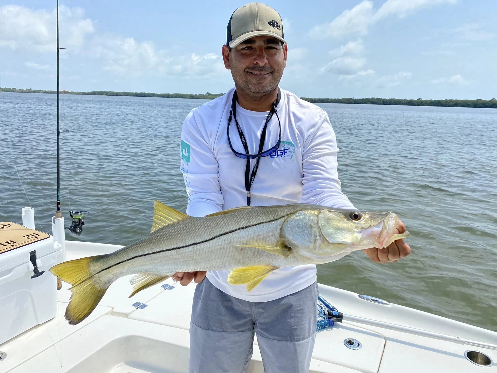 Captain Danny showing a snook he caught on a Tampa Bay fishing charter